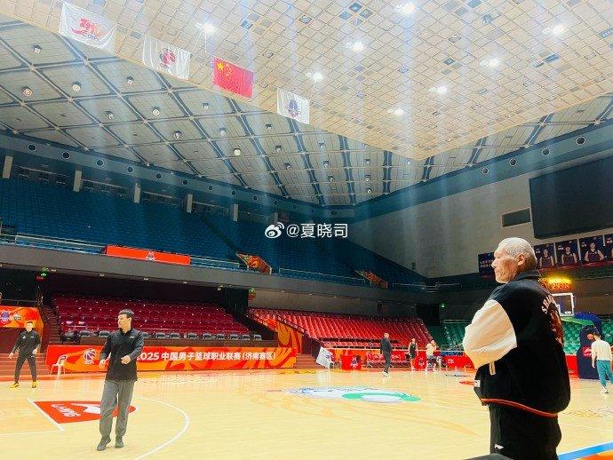 仅提高了球